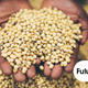 Illustration for article titled The World's Food Supply Is In Jeopardy But Here's How We Can Save It